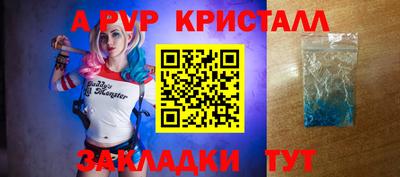 мяу мяу мука Нальчик