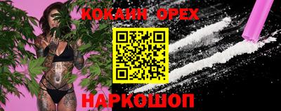мяу мяу мука Нальчик