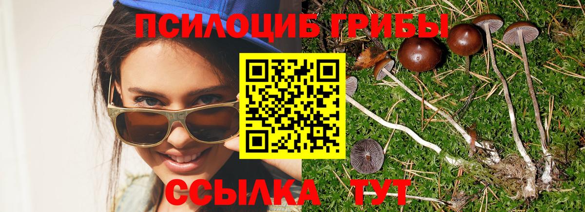 Псилоцибиновые грибы MAGIC MUSHROOMS Сарапул